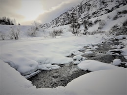 land covered in snow