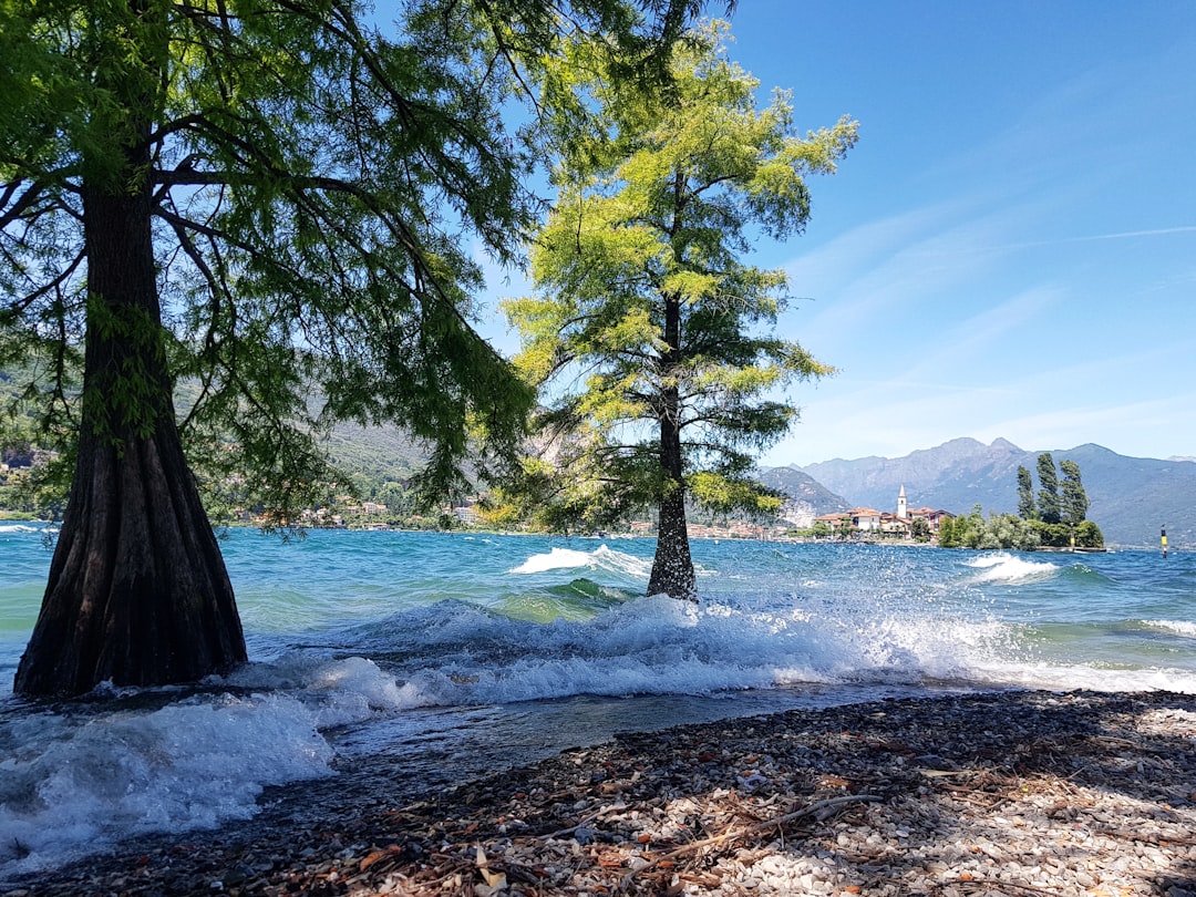 Shore photo spot Via Sempione Faggeto Lario