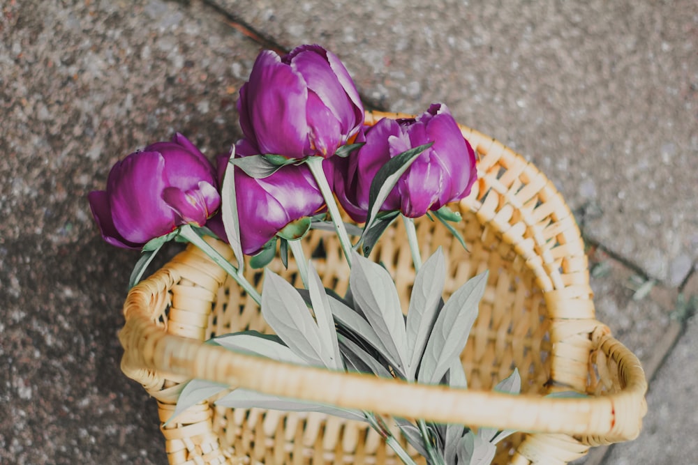 pink rose flowers on wicker basket on gray surface