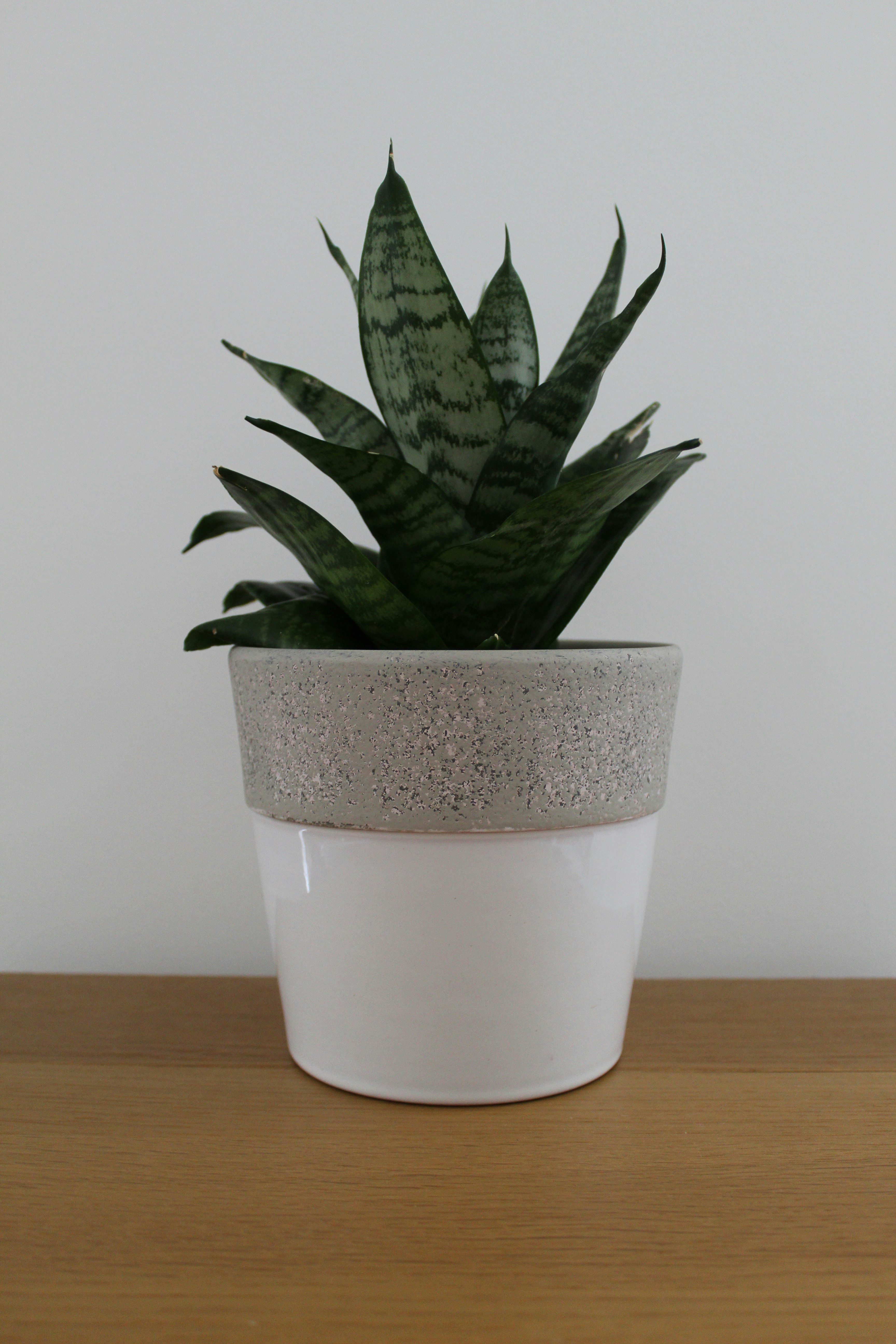 Photo by sophiewrixon