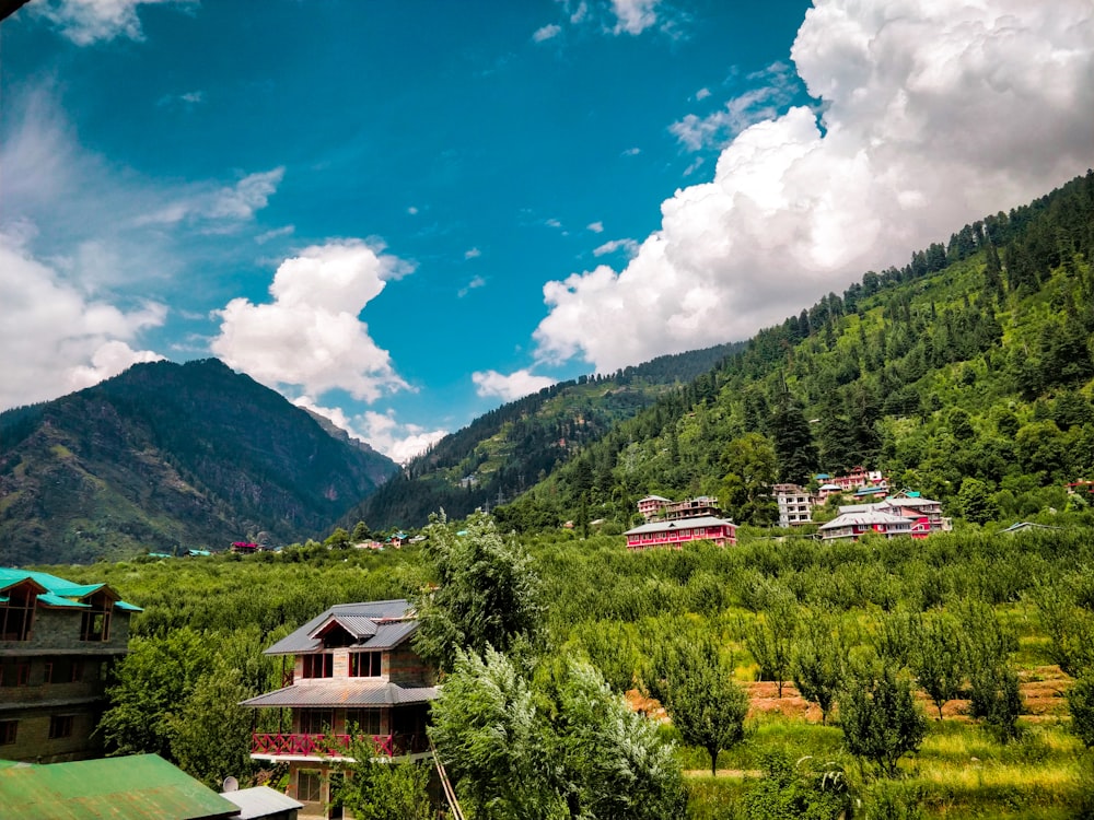 houses surrounded with trees at daytime