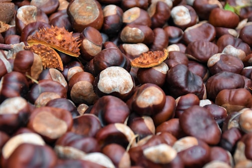 brown nuts