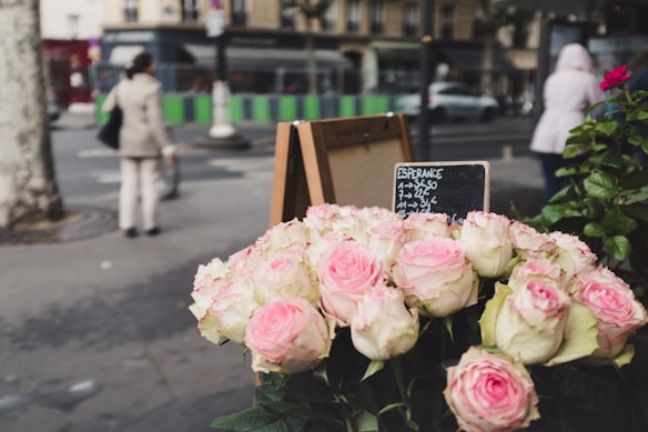 A display of pink and white roses is in the foreground, while a small chalkboard with pricing details stands behind it. In the background, an urban street scene with pedestrians, vehicles, and a row of shops is visible.