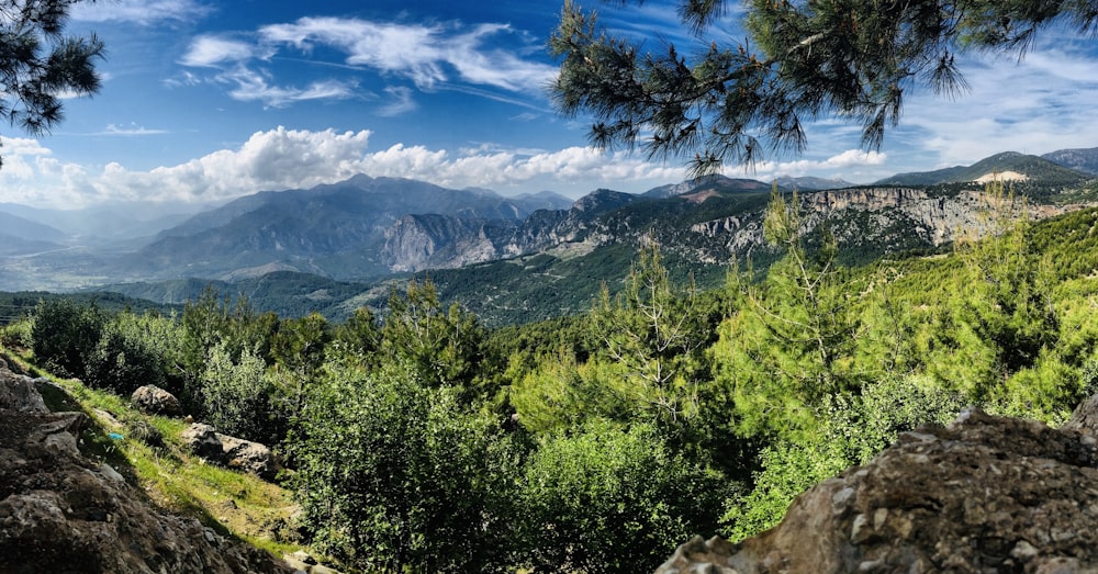 overlooking forest and mountains