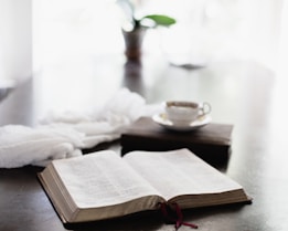 An open book lies on a wooden table, with a cup of coffee placed on a closed book next to it. A softly lit, serene environment is suggested by the bright, blurred background and a plant can be seen in the distance.