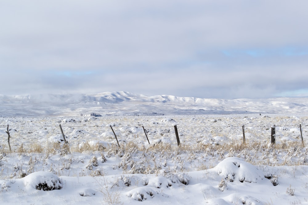 snow covered field