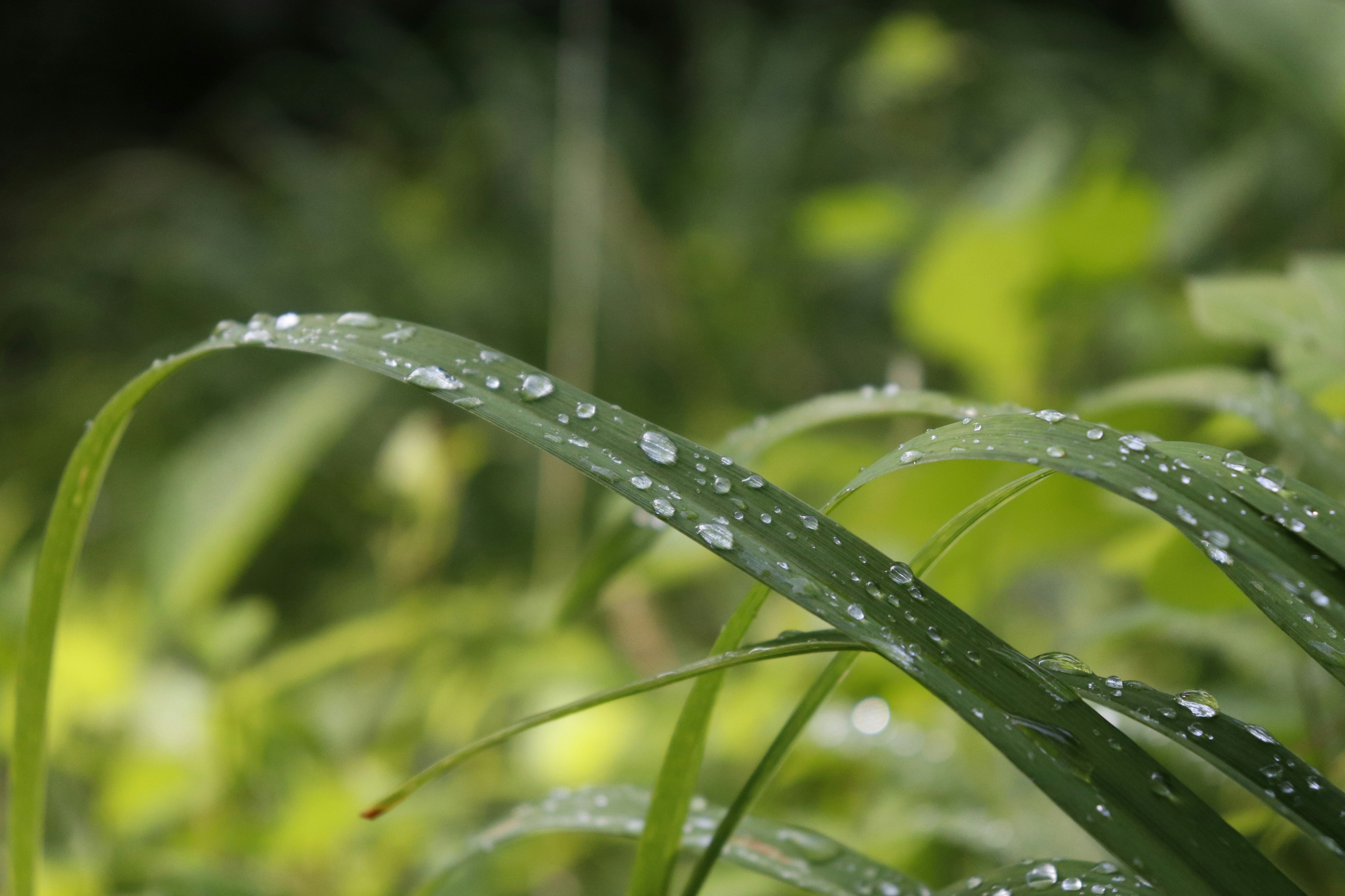 Photo by vtanner_1024