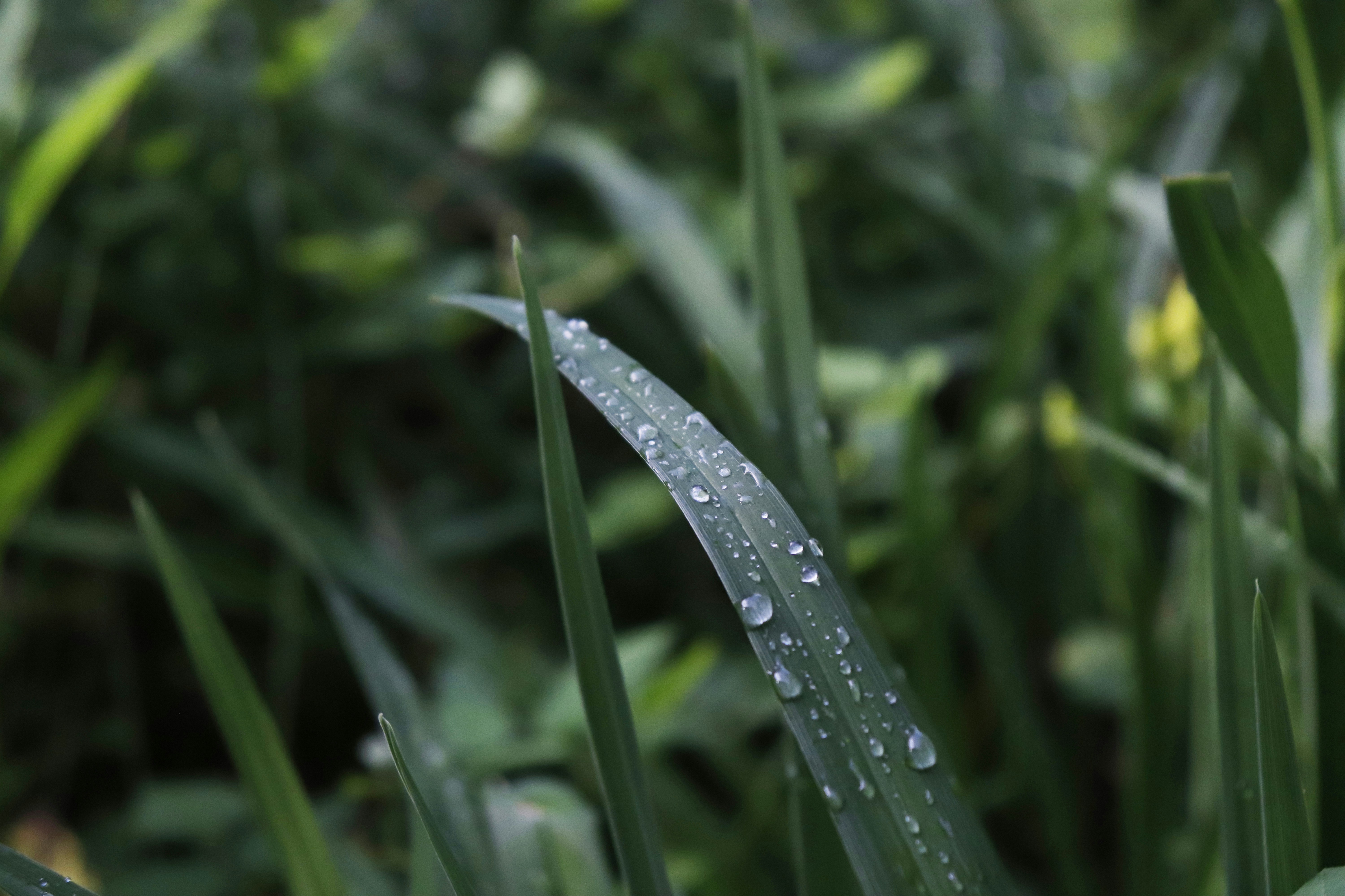 Photo by vtanner_1024