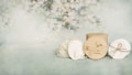 A soft pastel background with blurred floral patterns is the backdrop for a set of eco-friendly cosmetic pads and bamboo containers. The pads appear soft and are wrapped with a twine. The bamboo container displays a cute panda logo, emphasizing an eco-friendly theme.