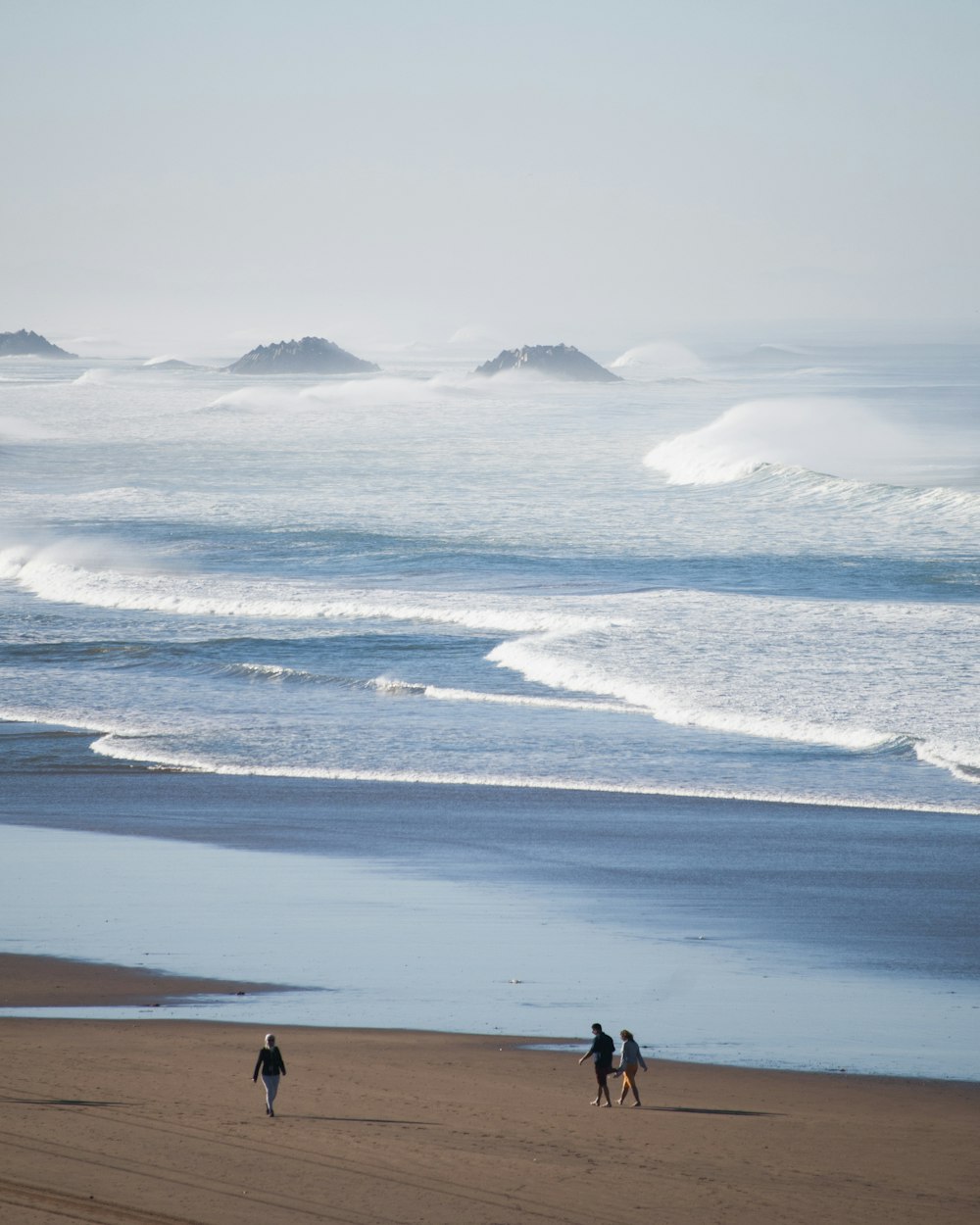 seashore and body of water