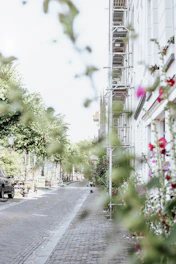 A serene street corner bathed in soft morning light, with shadows stretching across cobblestones.