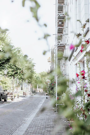 A quiet cobblestone street in Cunziria lined with blooming flowers