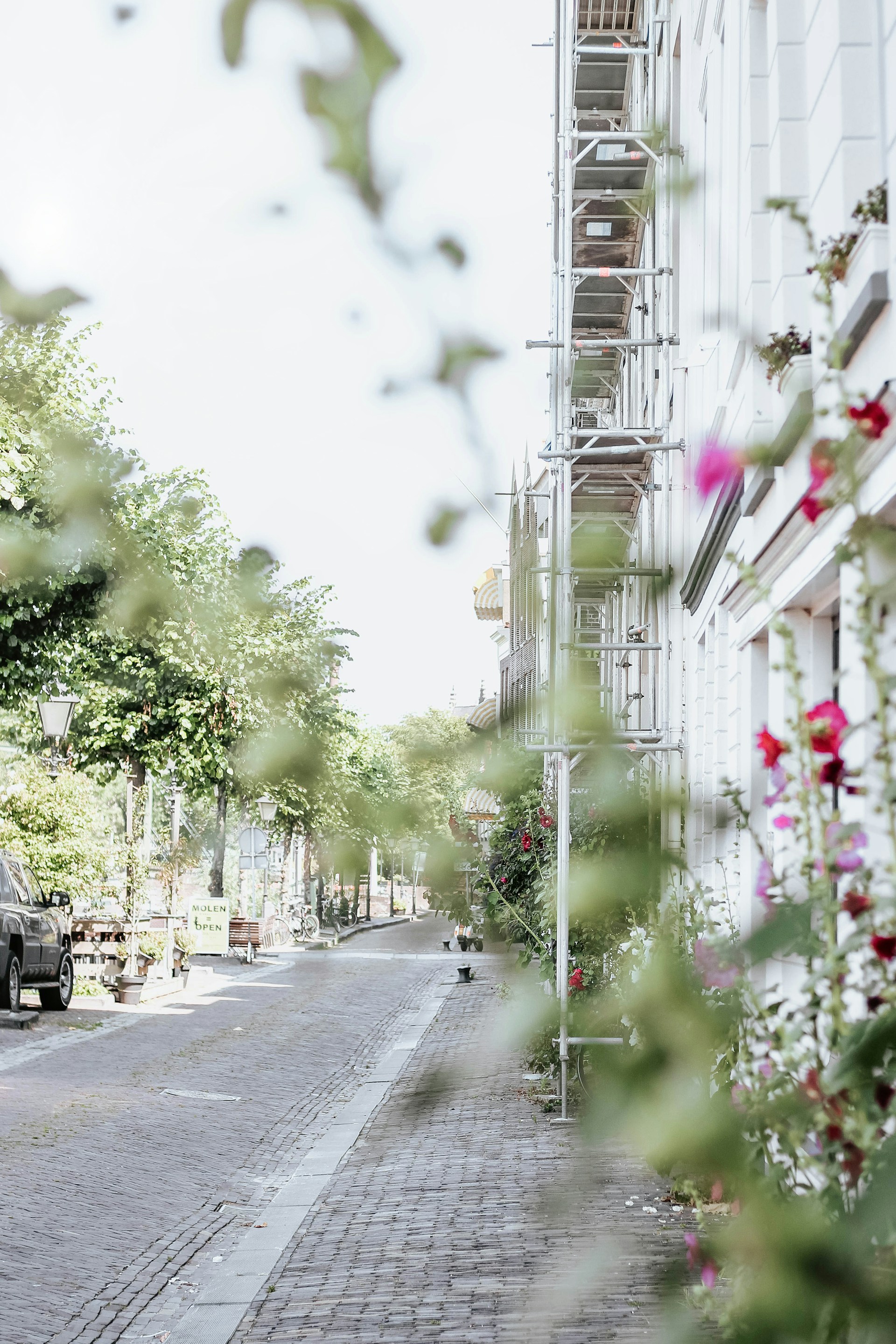 A quiet morning in the leafy streets of Cigadung, showing cozy cafés and creative studios nestled among lush greenery.