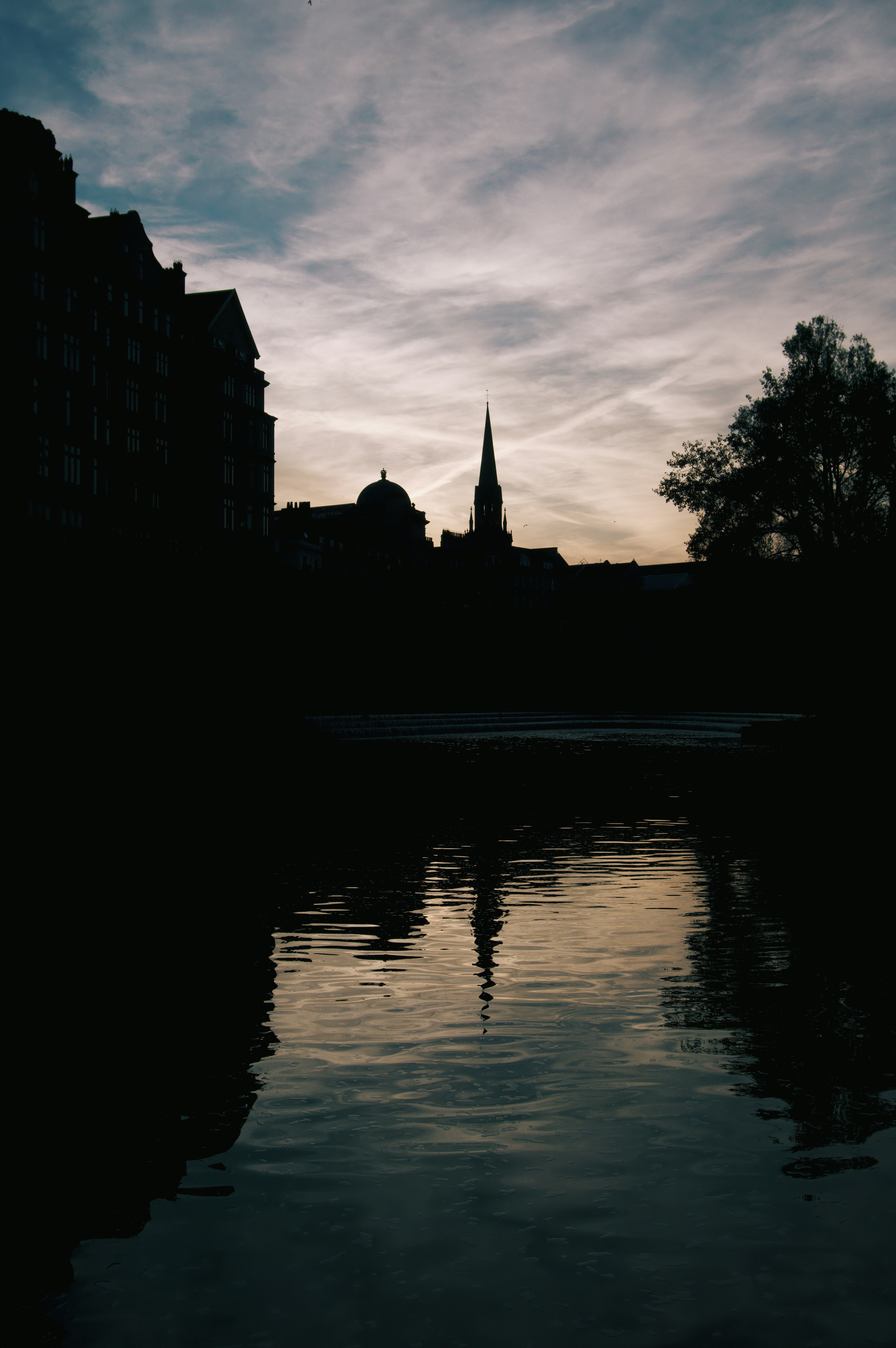 Photo by carloscoronadodr