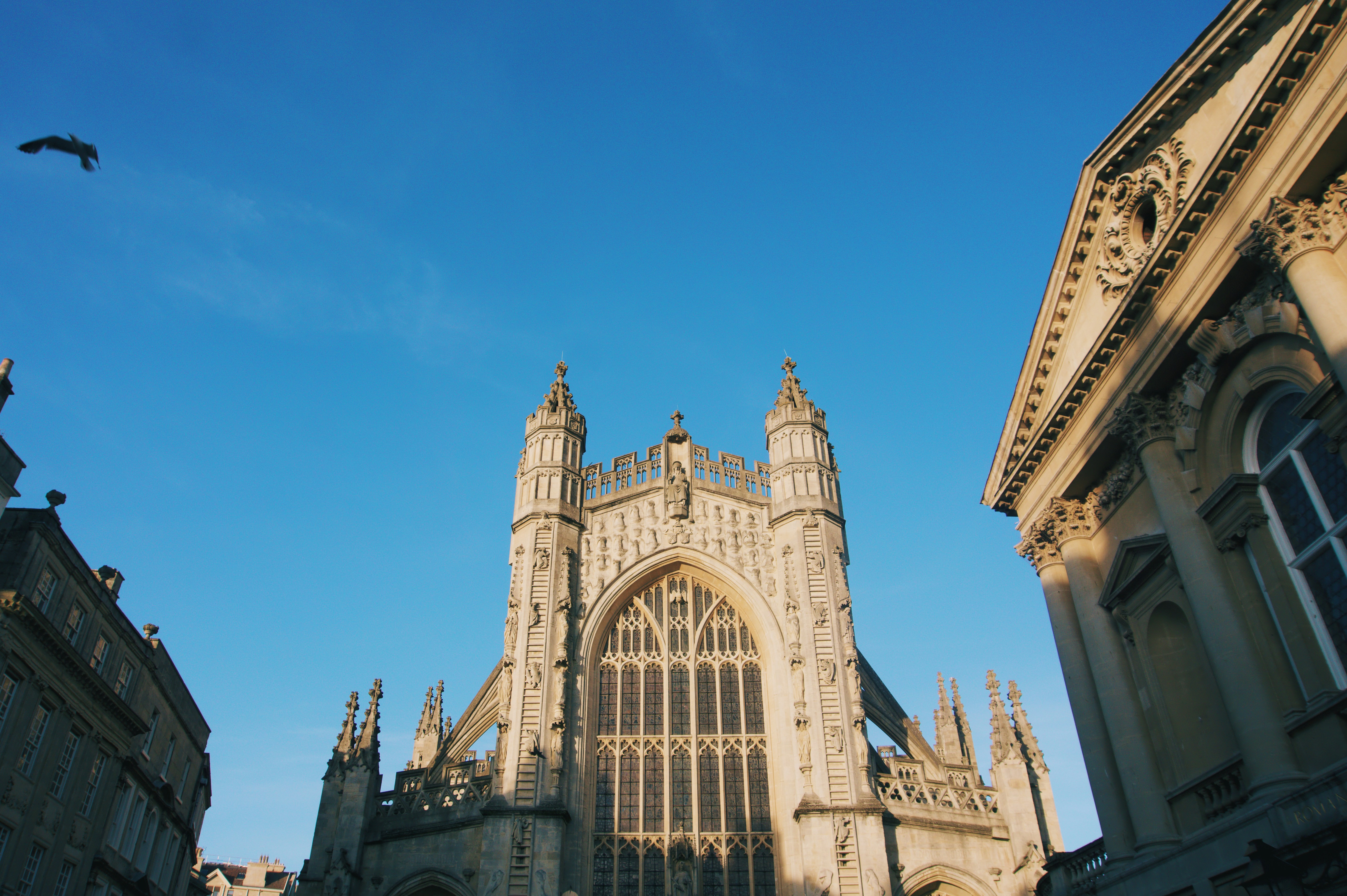 Photo by carloscoronadodr