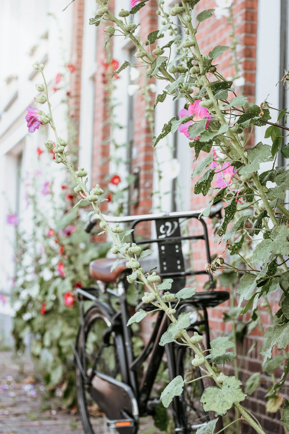 black bike parked beside building