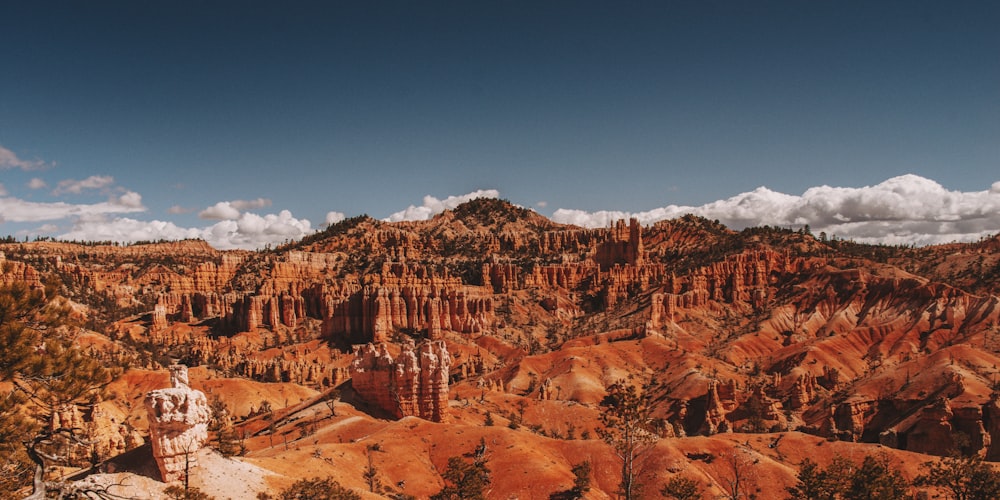 Fotografía del desierto