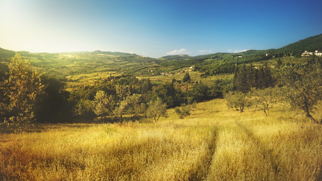 Tuscany Calling: The Cinematic Love Affair Between Hollywood and the Italian Countryside