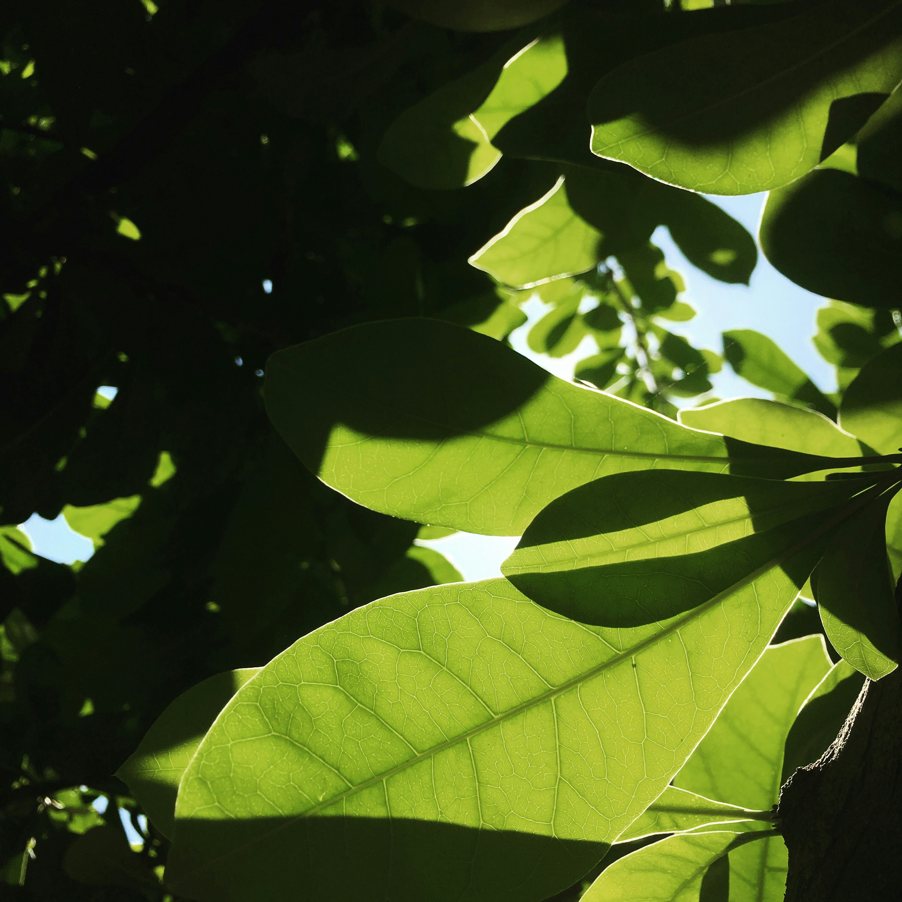 Photo by tranquangtrieu