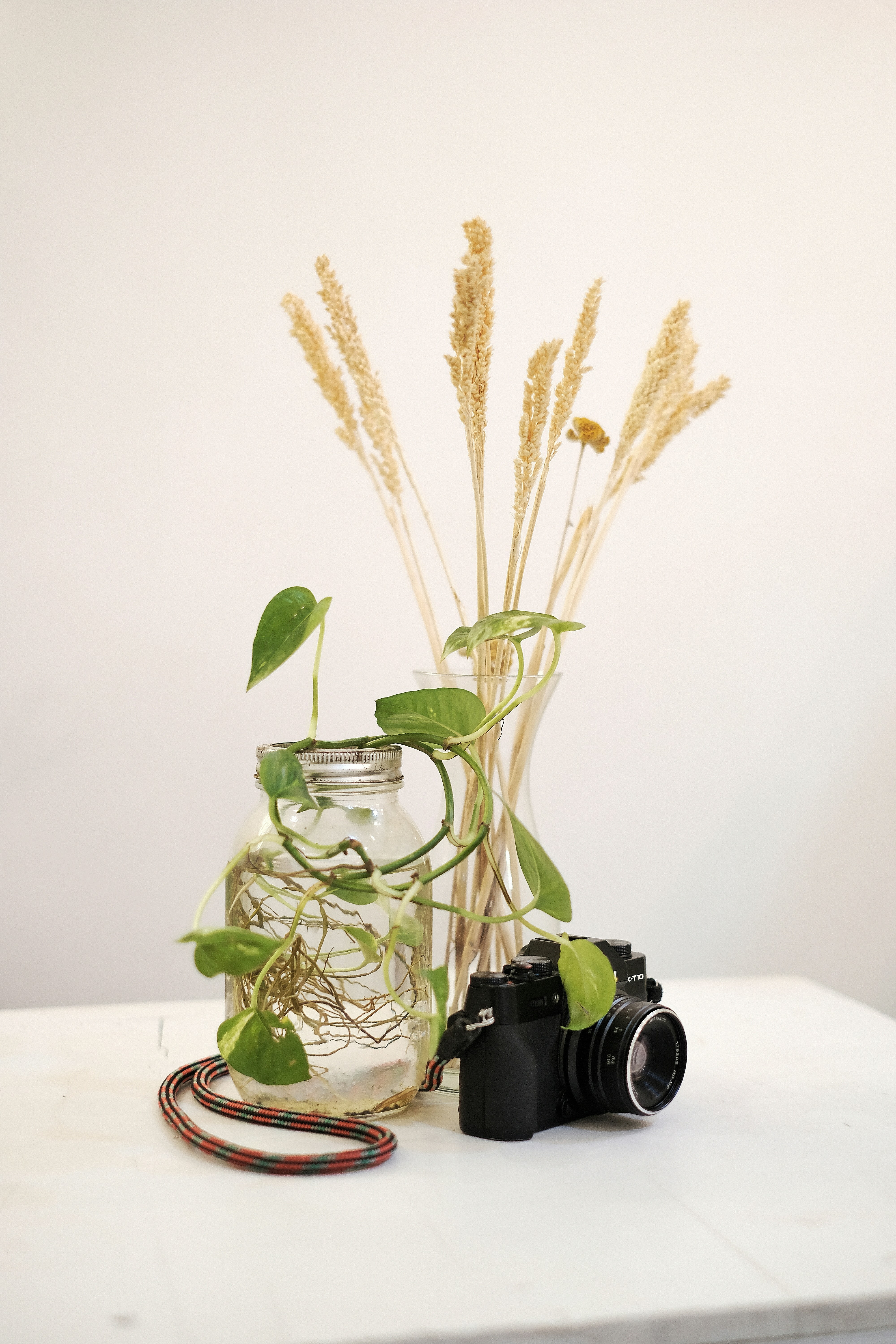 Kamera DSLR dan tanaman di atas meja