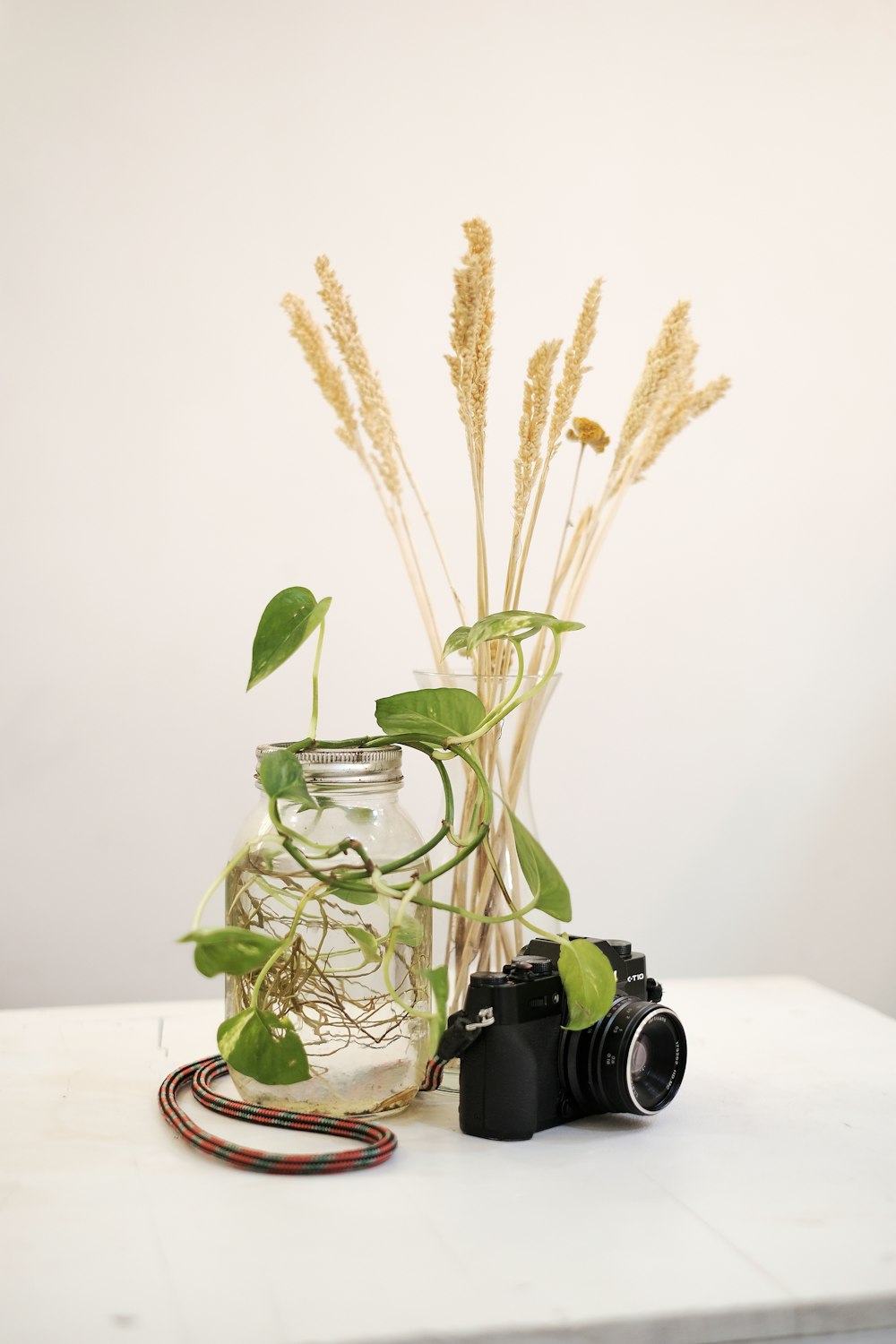 Appareil photo reflex numérique et plante sur table