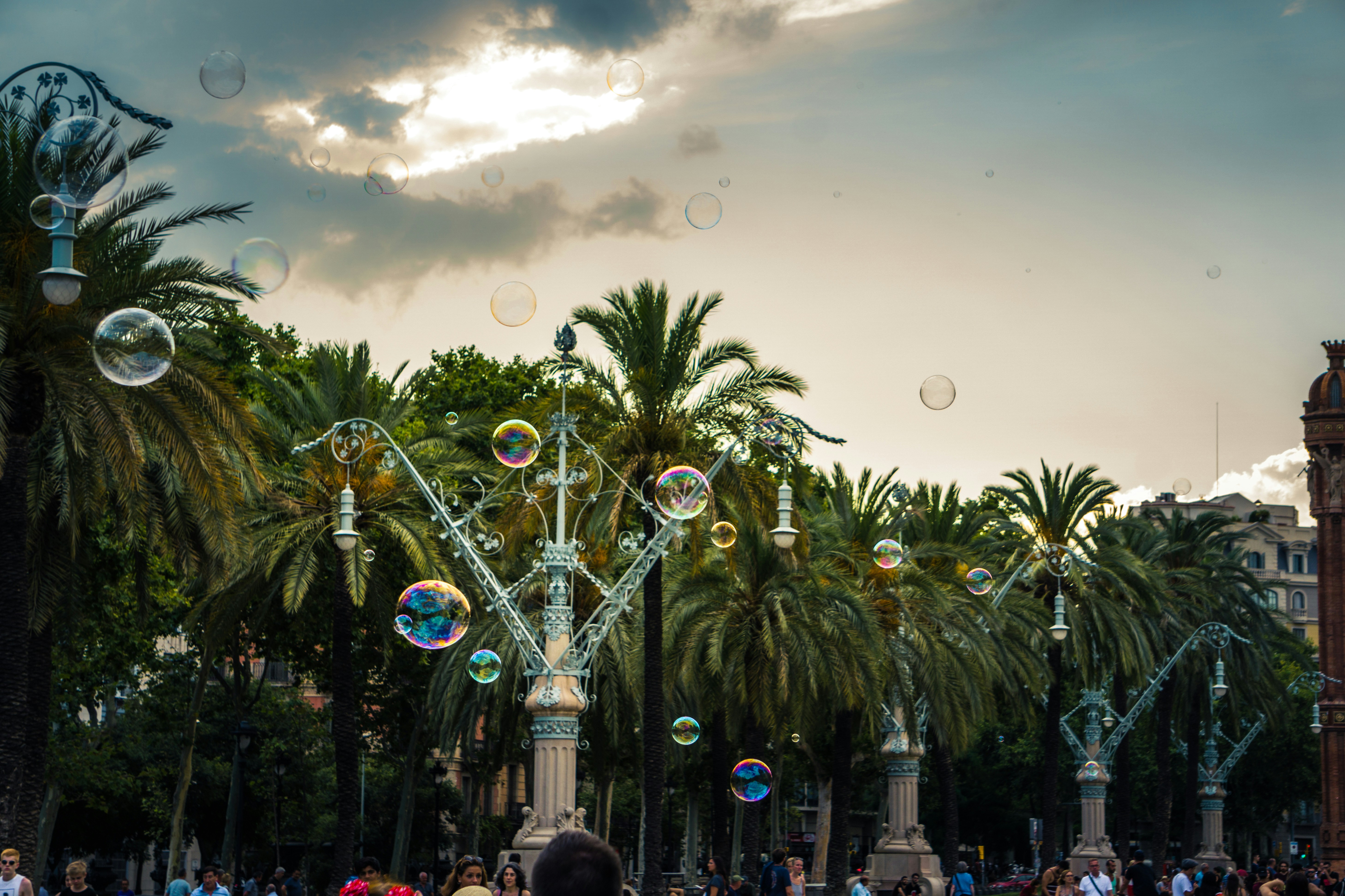 Photo by mitchelanneveldt