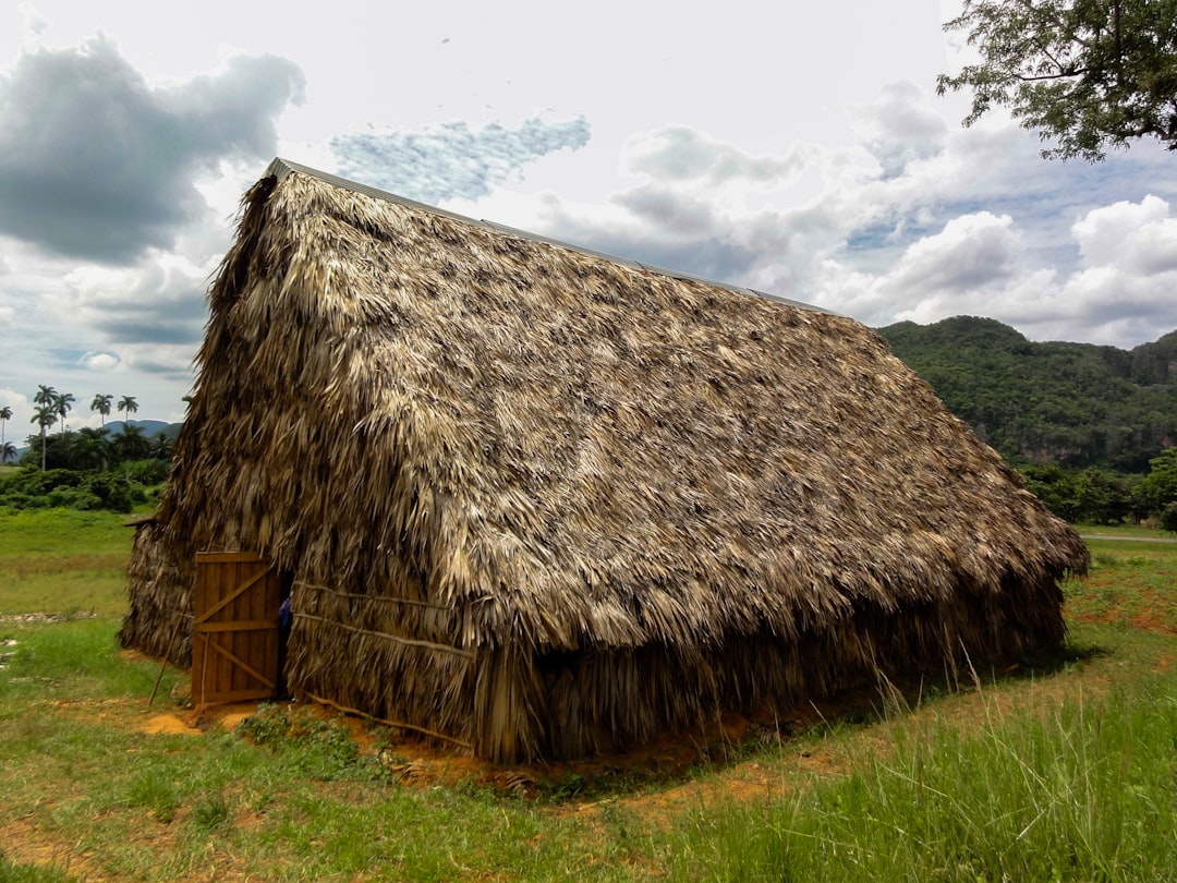 brown hut