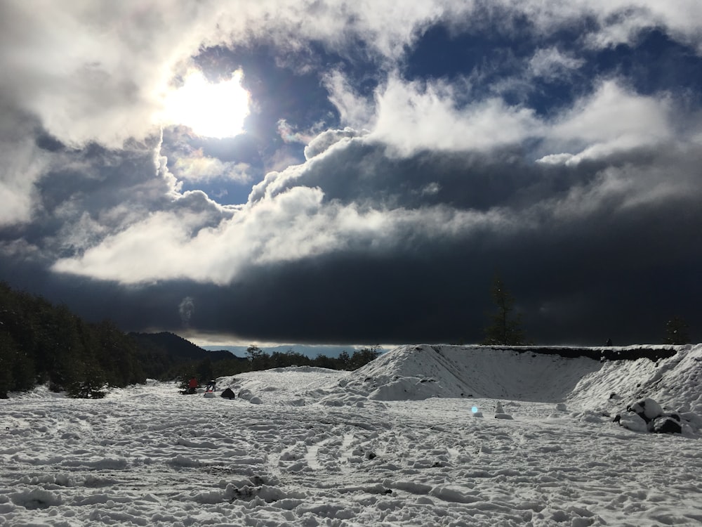 land covered in snow