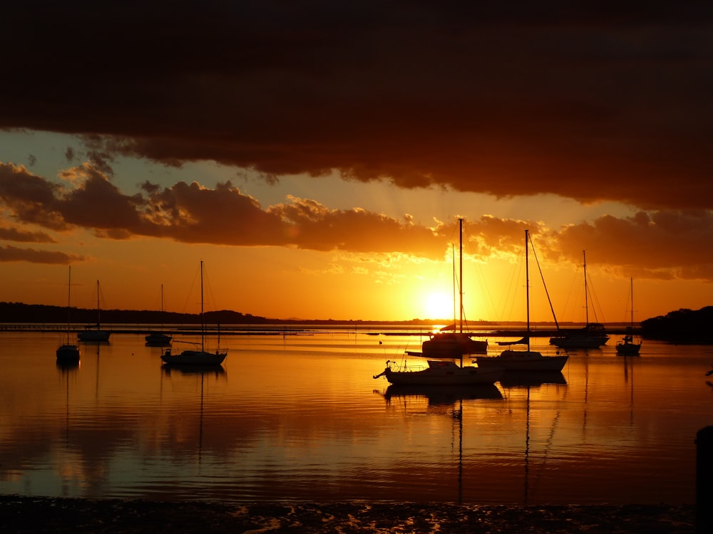 silhouette photography body on body of water