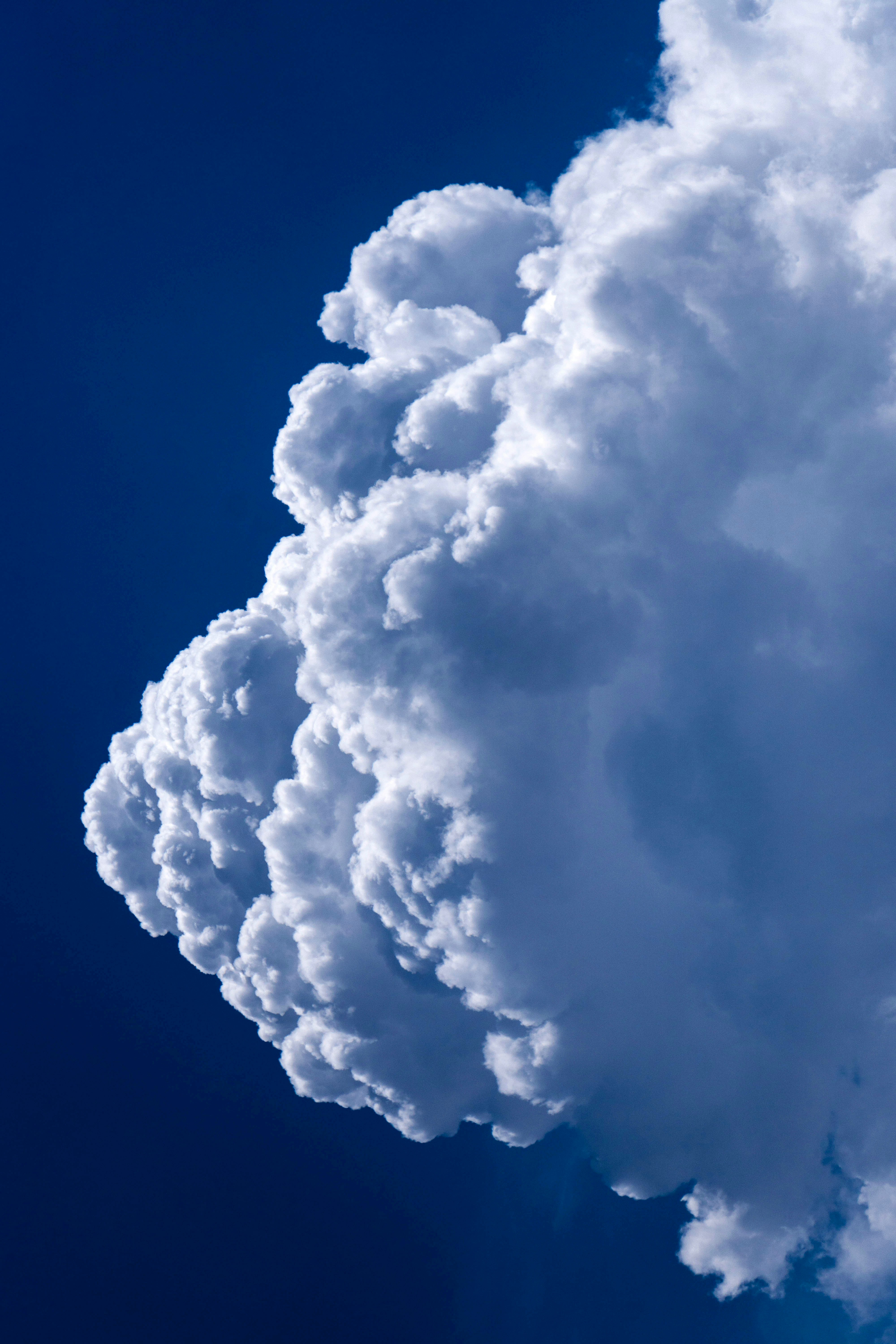 Photo by itstarynnnn