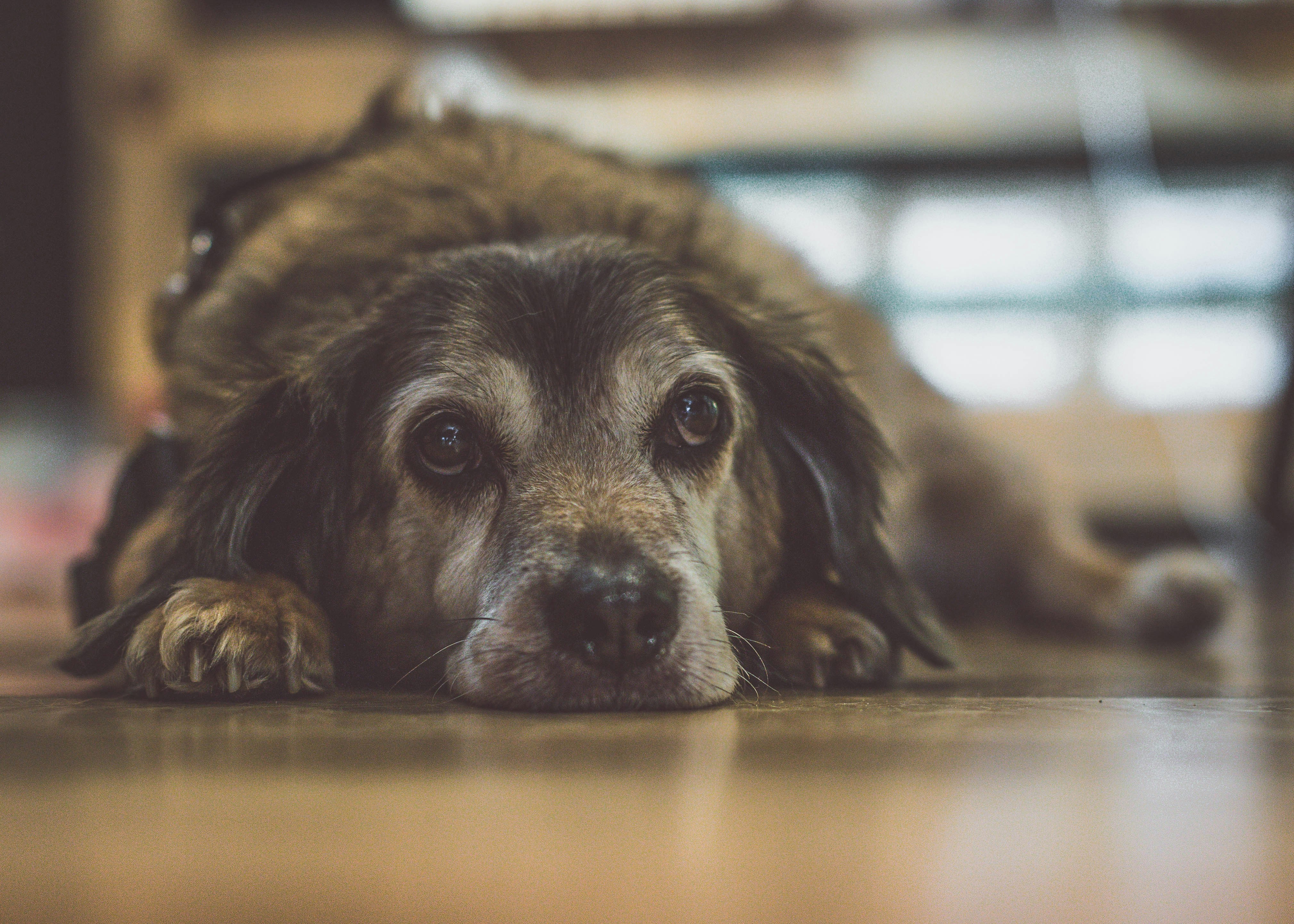 Photo by theshuttervision