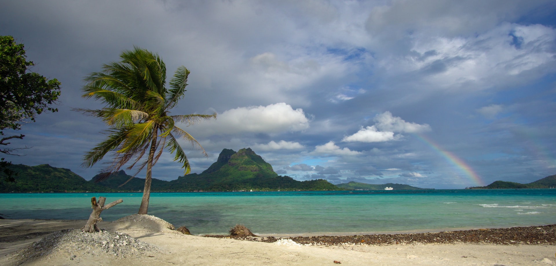 gray computer monitor