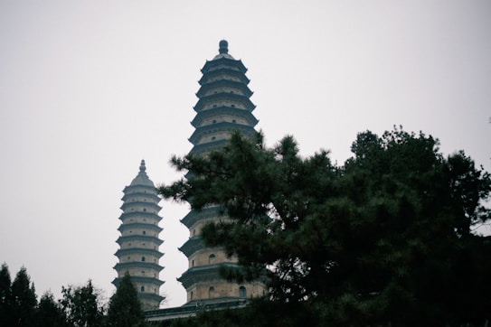 Two traditional pagoda towers rise prominently in a misty atmosphere, partially obscured by evergreen pine trees. The pagodas are tiered and intricately designed, each featuring multiple layers that taper towards the top.