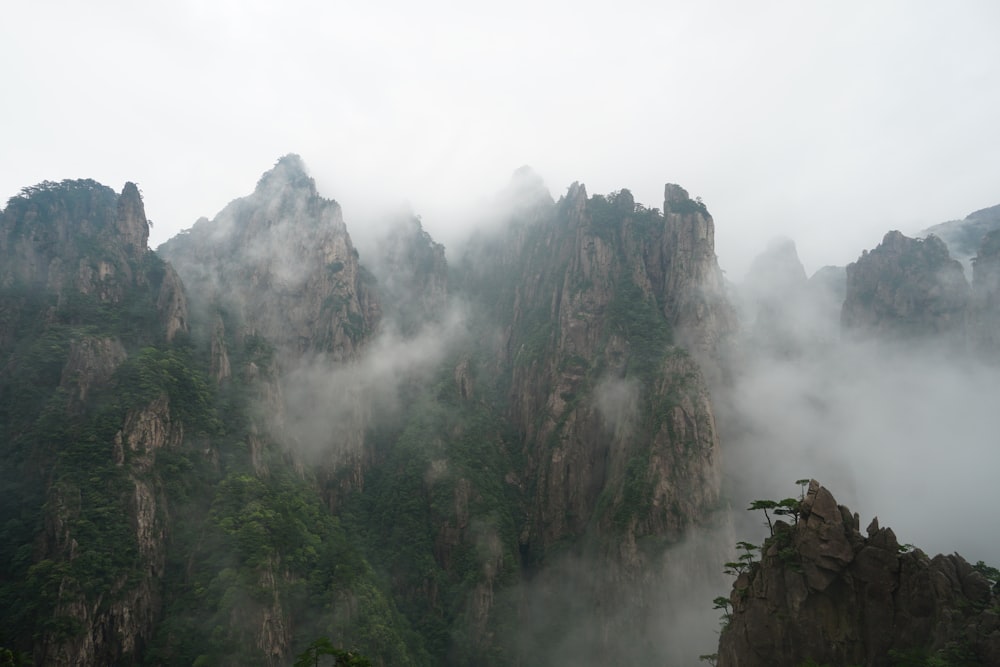 mountain surrounded by fog during daytime