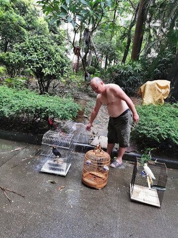 A shirtless man is watering three birdcages on a paved walkway surrounded by lush green vegetation. The birdcages contain birds of different species. The atmosphere appears serene and natural, with trees and bushes in the background.