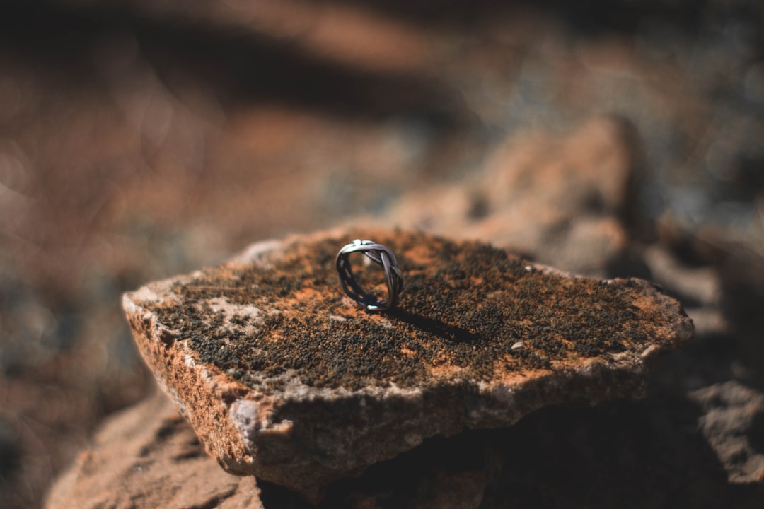shallow focus photography of silver-colored ring on top of brown stone