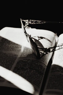 A close-up of a stylish reading glass resting on an open book with soft natural light.
