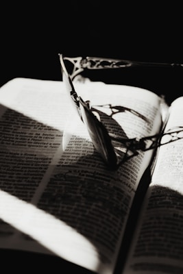 Elegant reading glasses placed on an open book with soft natural light.
