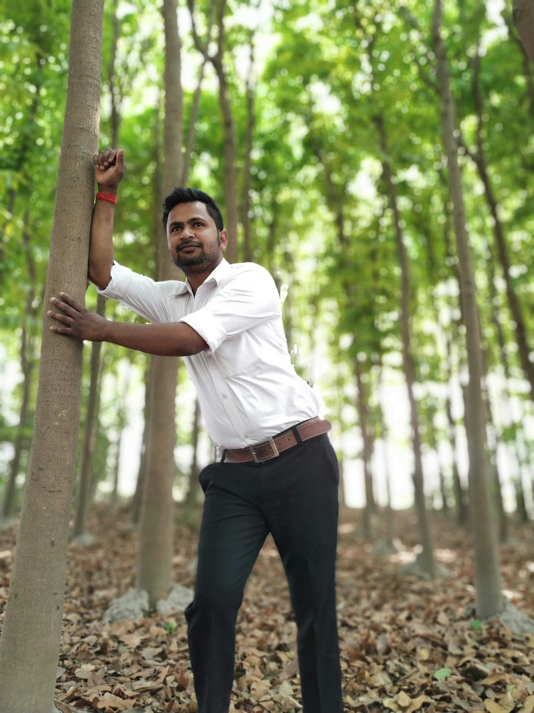 Forest photo spot Sakaroli Uttar Pradesh