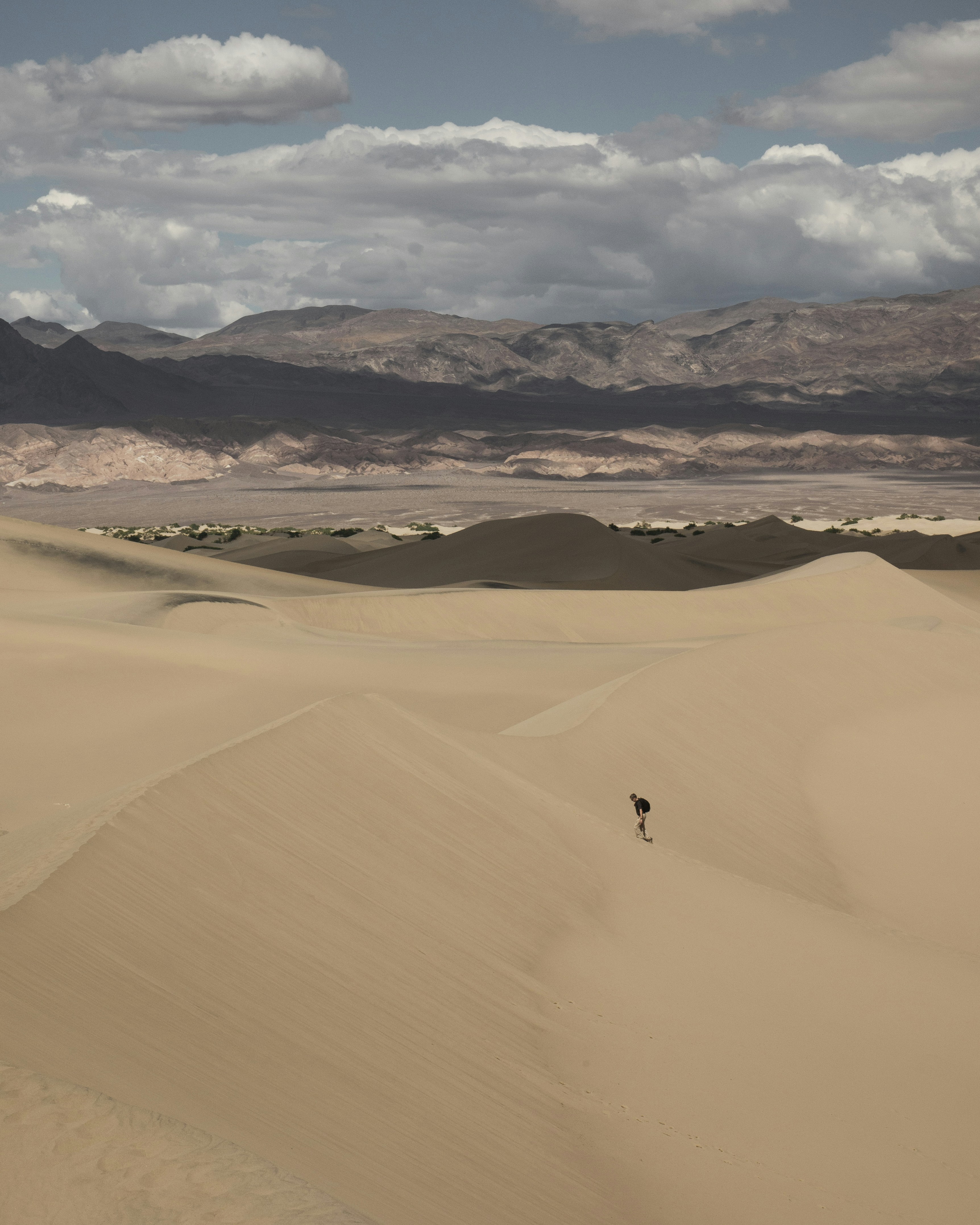 Photo by yannallegre