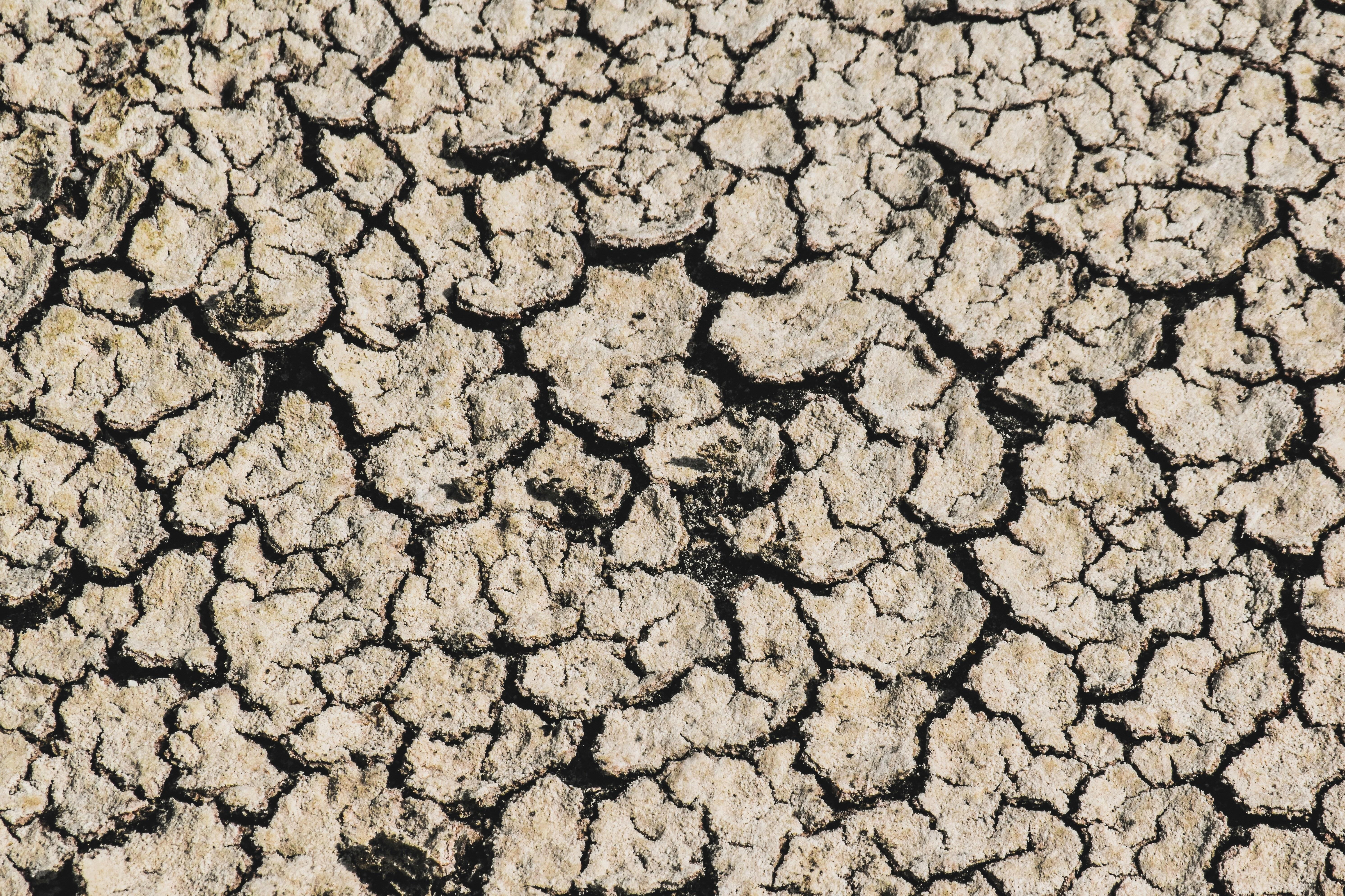 Photo by payam__tahery