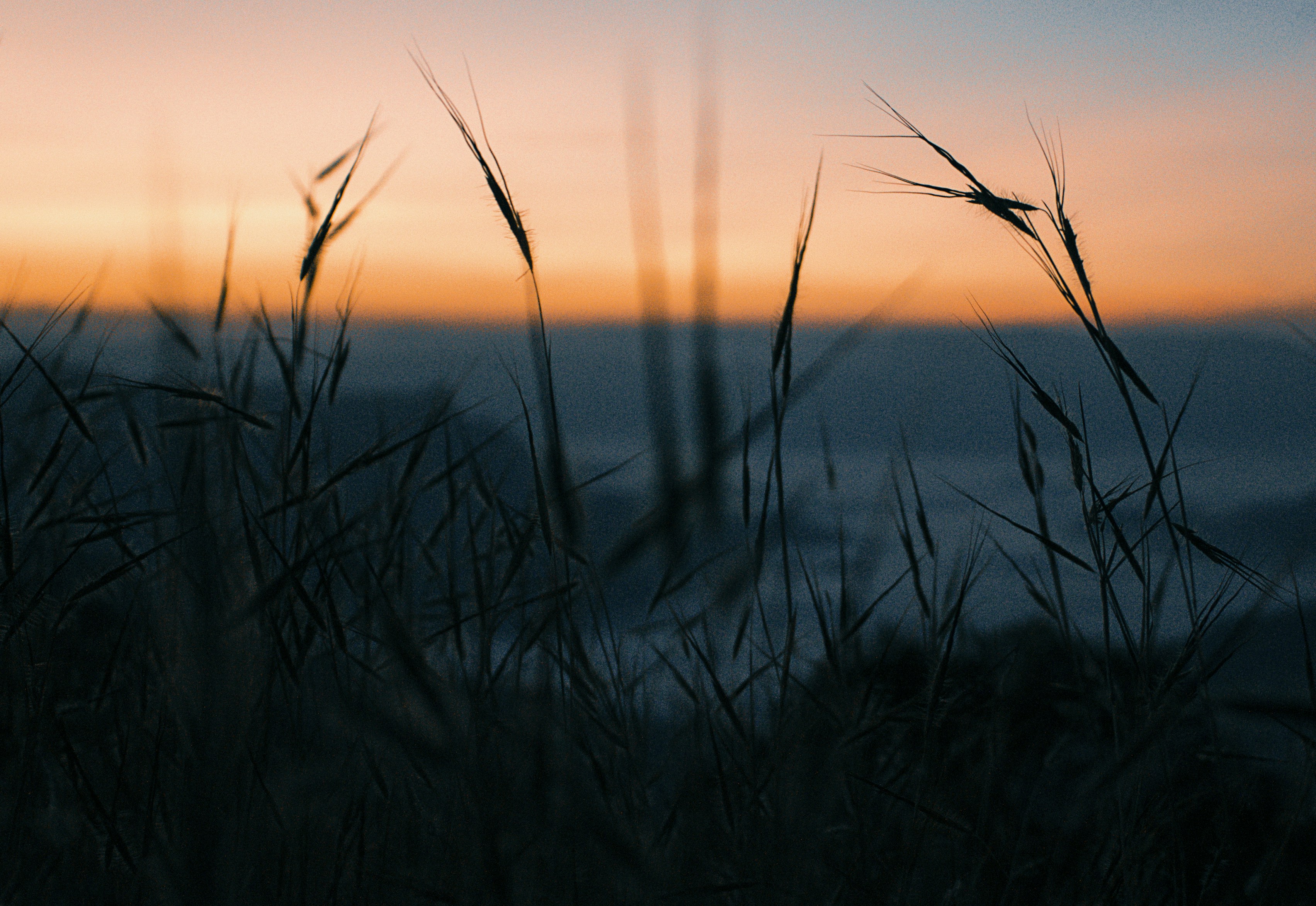 Photo by shotzofpixels