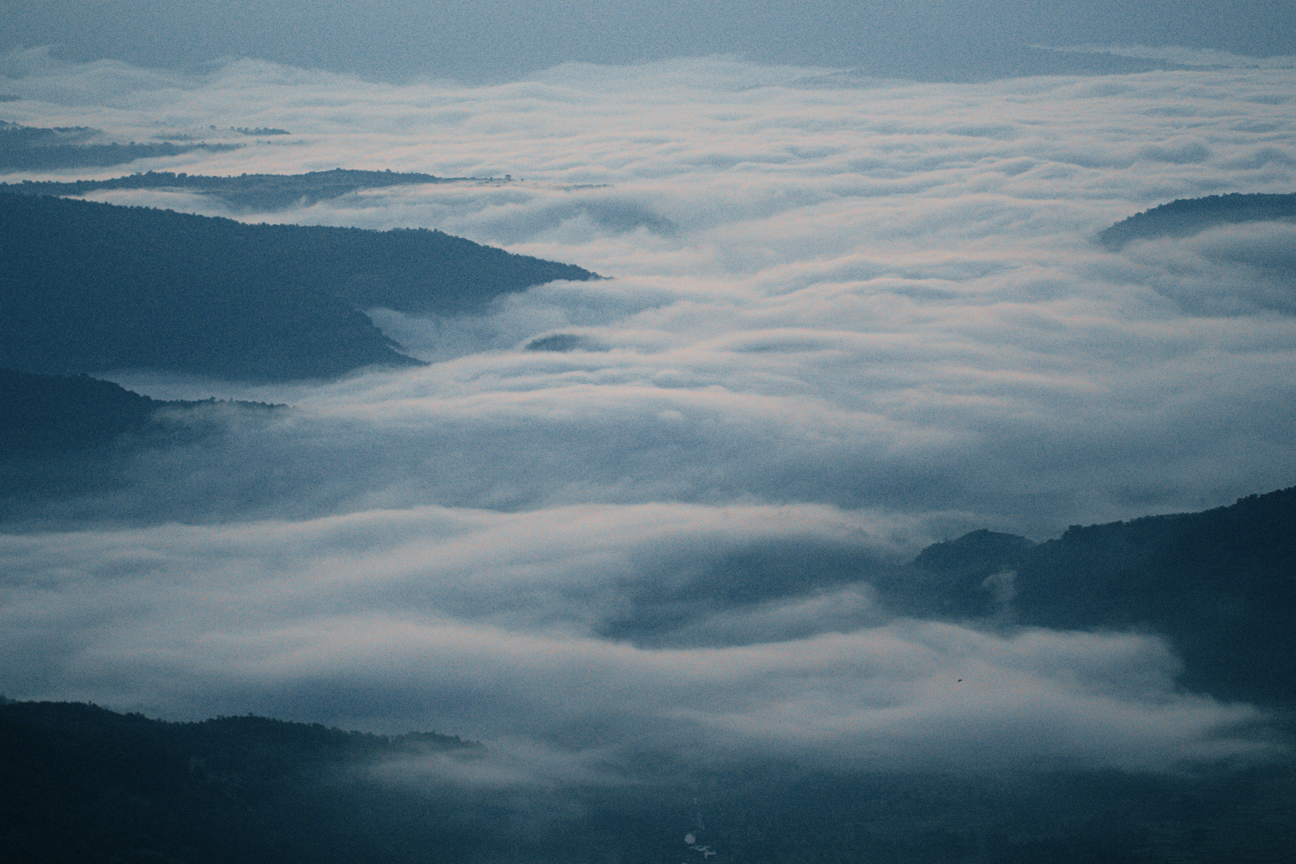 Photo by shotzofpixels