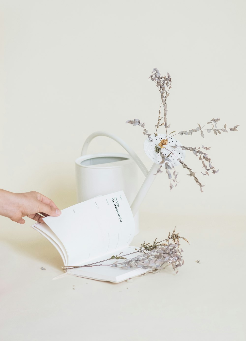 gray petaled flower on book page