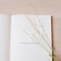 An open book lies on a wooden surface with delicate dried grasses placed on the right page. The text reads 'Seeking Revival in the Everyday.' The overall aesthetic is minimalistic and serene.