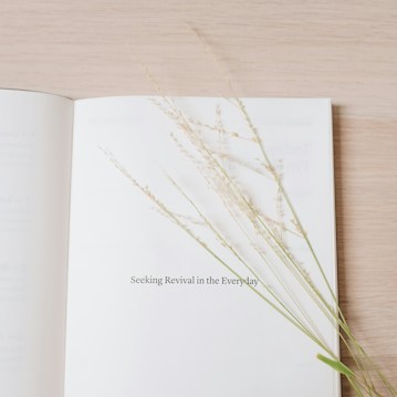 An open book lies on a wooden surface with delicate dried grasses placed on the right page. The text reads 'Seeking Revival in the Everyday.' The overall aesthetic is minimalistic and serene.