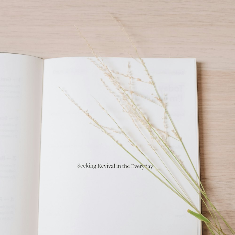a book opened to a page with a plant in it