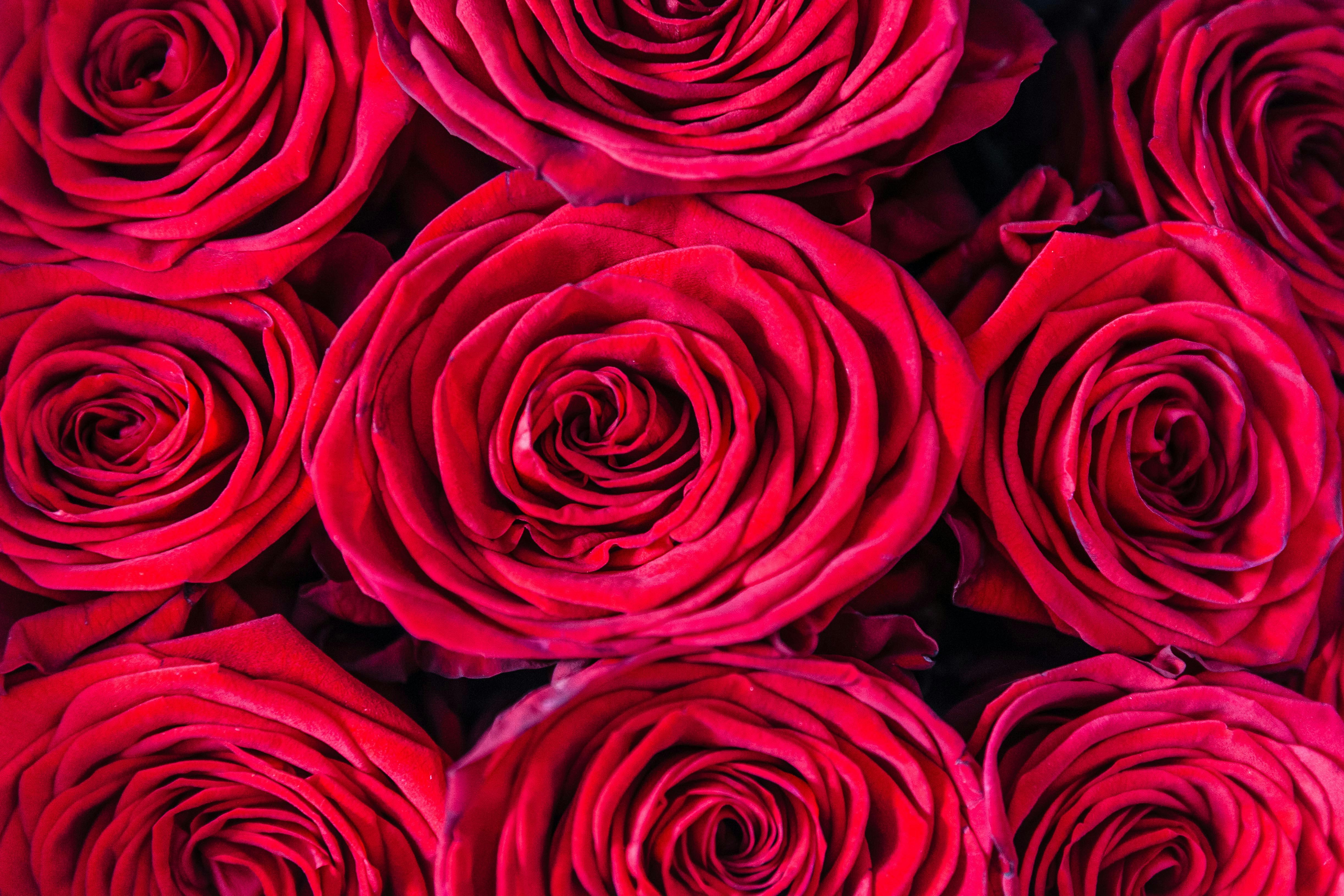 Photo by kennykennethh