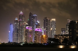 A city skyline featuring modern skyscrapers illuminated with vibrant lights against a night sky. The buildings vary in height and design, with distinctive lighting effects highlighting their architectural features. The foreground includes silhouettes of trees and structures, adding depth to the urban scene.