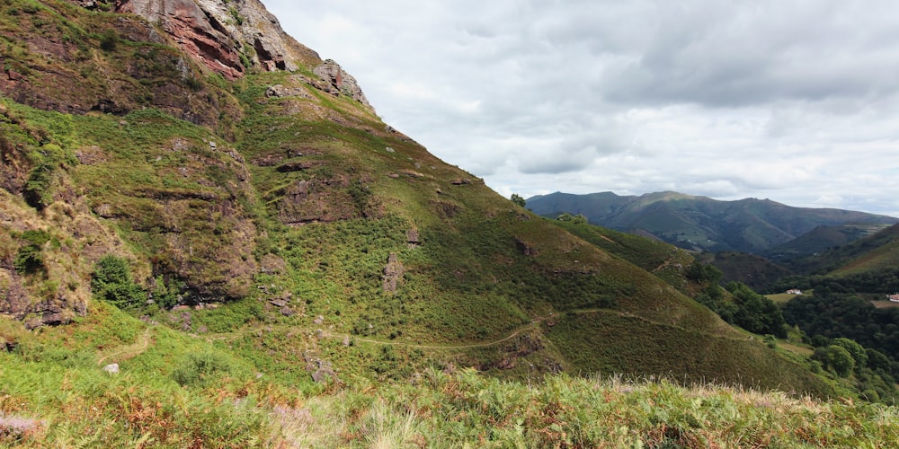 green and brown mountain close-up photography